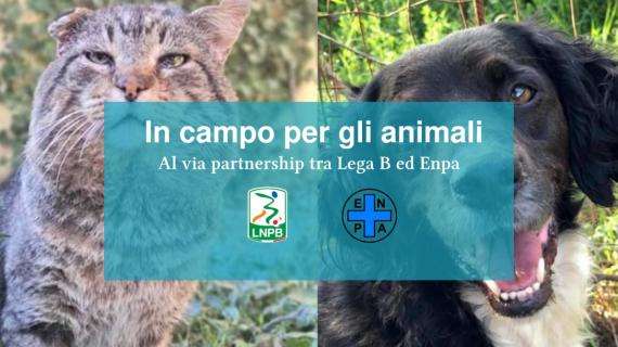 'Insieme in campo per gli animali': al via la partnership tra Lega B ed Enpa