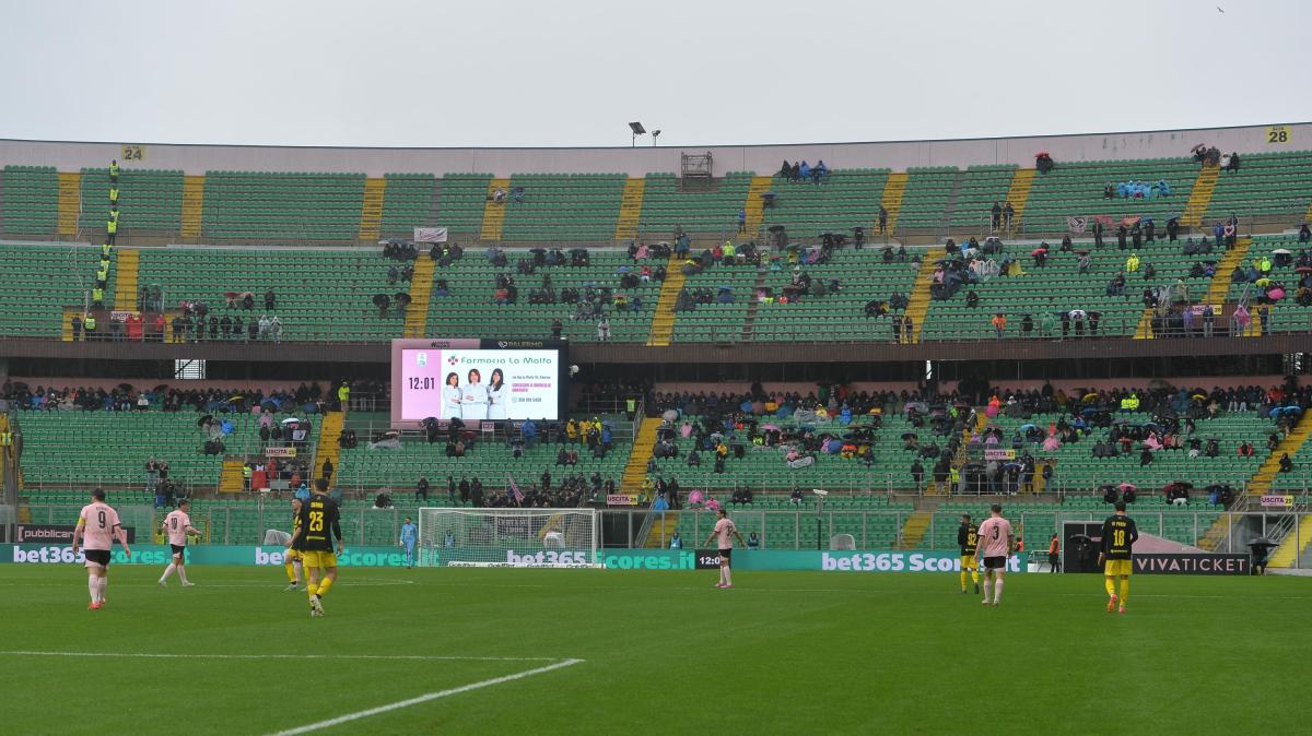 Palermo-Modena 1-1: grande punto dei canarini al Barbera