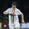 Immagine news 6