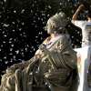 Immagine news 20