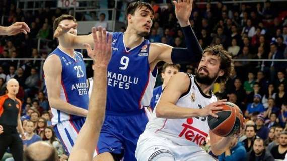 NOTAS: Anadolu Efes - Real Madrid