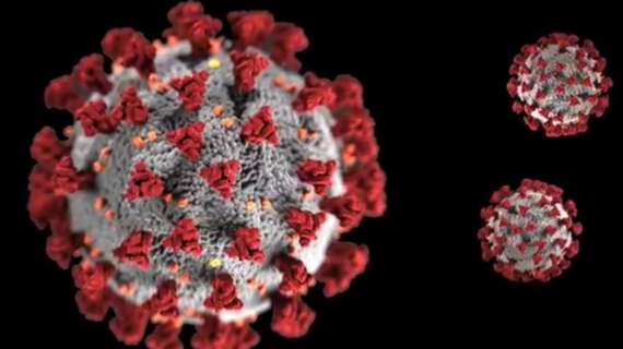 Coronavirus, un futurible blanco no se entrena por miedo a la enfermedad