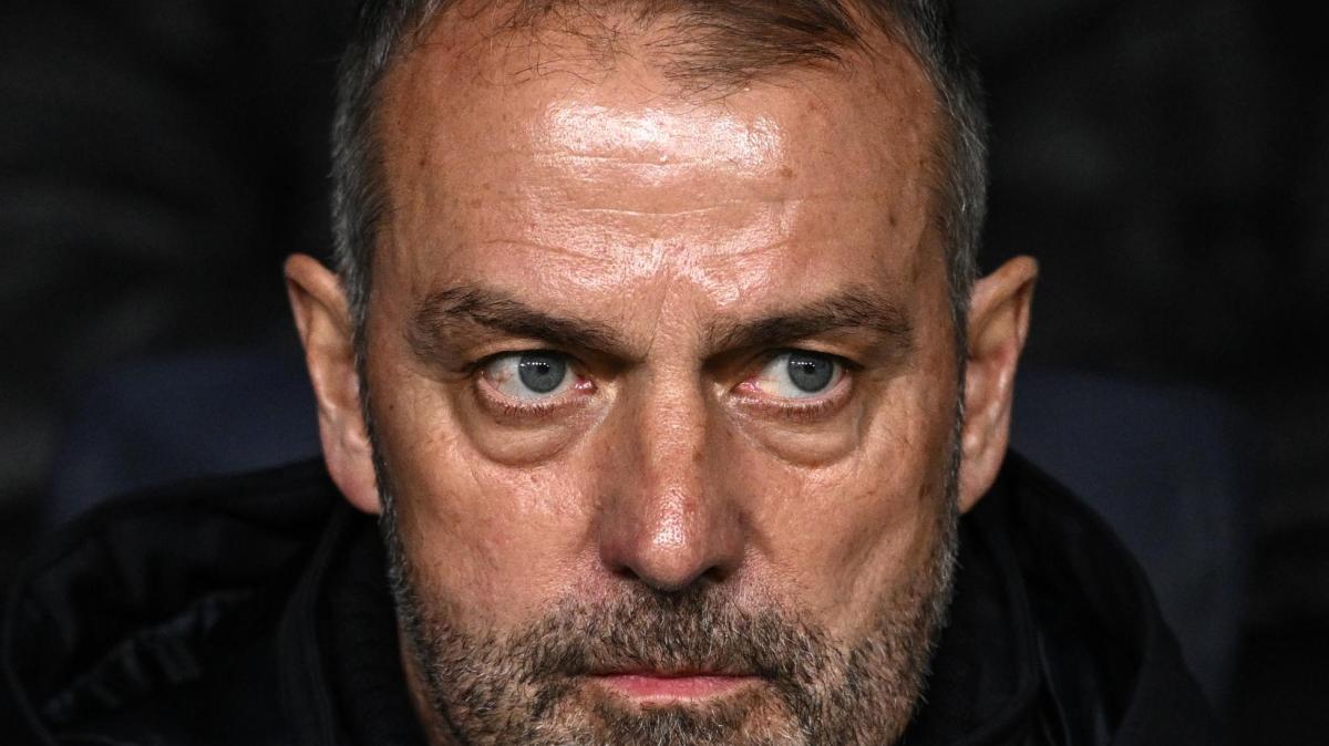 Immagine strip Primer Plano n.1