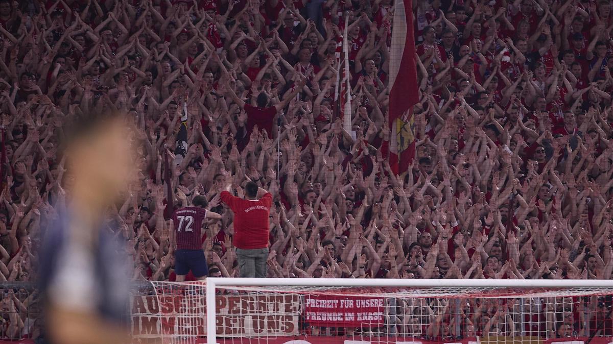 Primo piano Bernabéu Digital