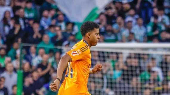 El Tottenham va con todo para fichar a Rodrygo: ofertón inminente