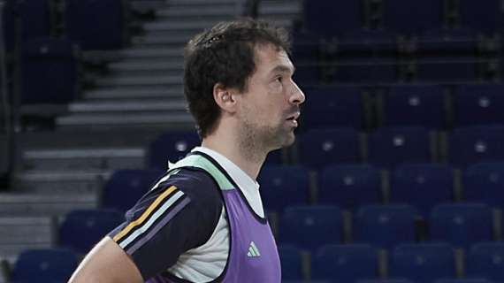 Sergio Llull, Real Madrid