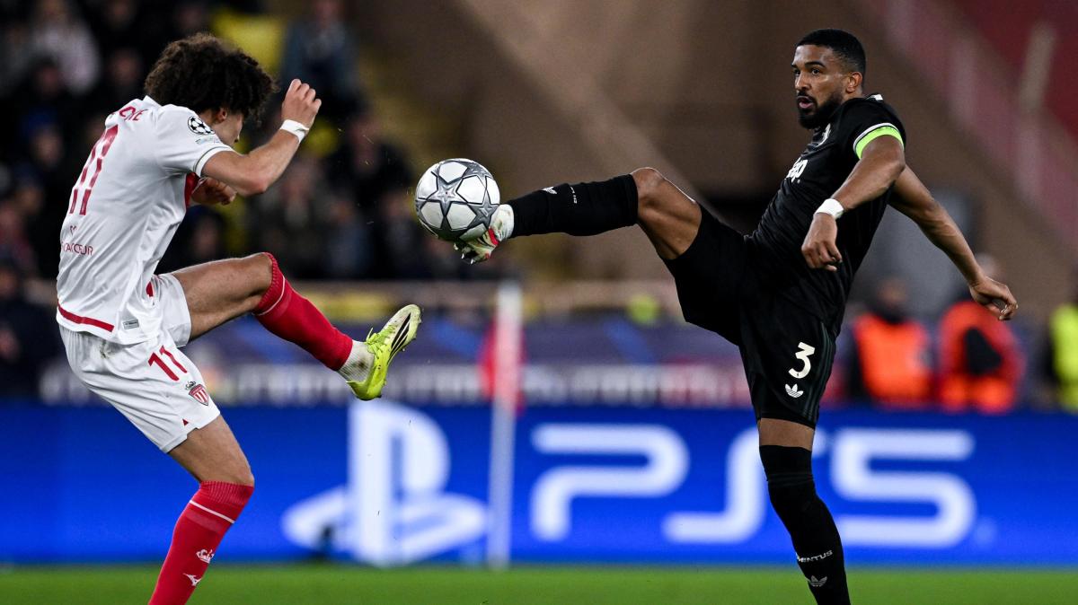 Immagine strip Primo piano n.1