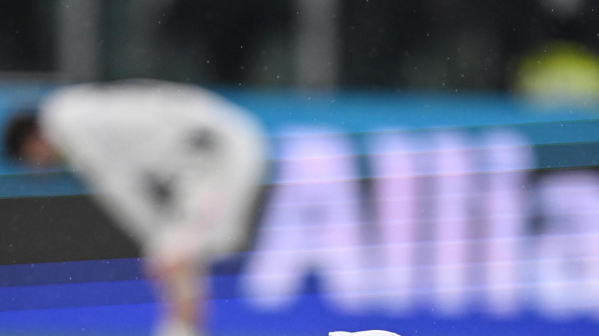 Immagine strip Primo piano n.1