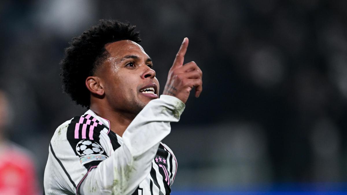 Immagine strip Primo piano n.1