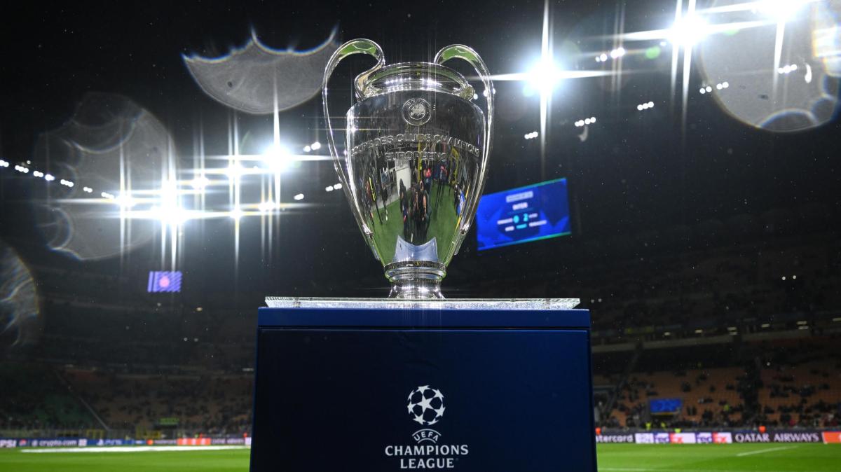 Immagine strip Primo piano n.1