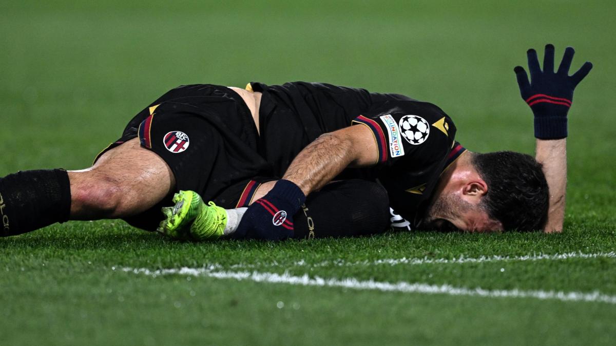 Immagine strip Primo piano n.1