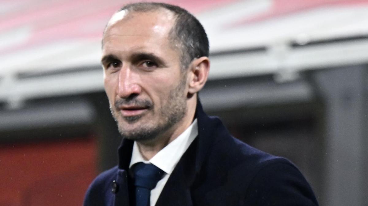 La torcia olimpica è a Torino, Chiellini tedoforo per un giorno