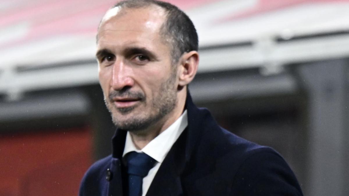 Immagine strip Primo piano n.1