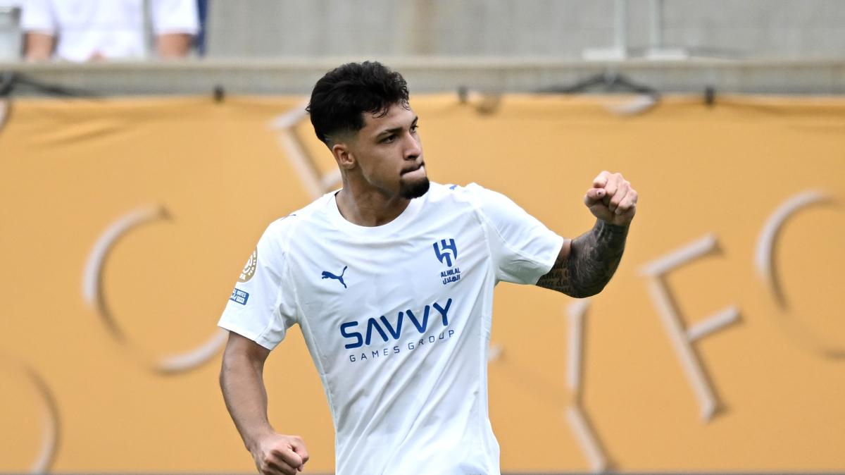 Immagine strip Primo piano n.1