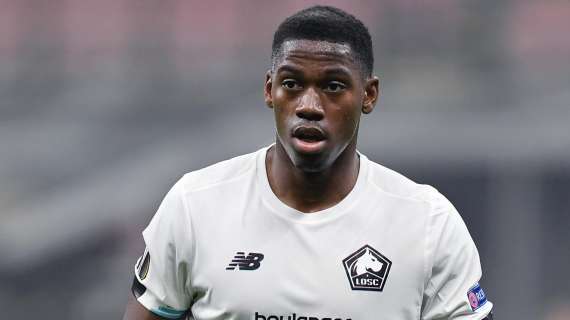 Schira: "David ha rifiutato Arabia e Fenerbahce, vuole solo la Juve"
