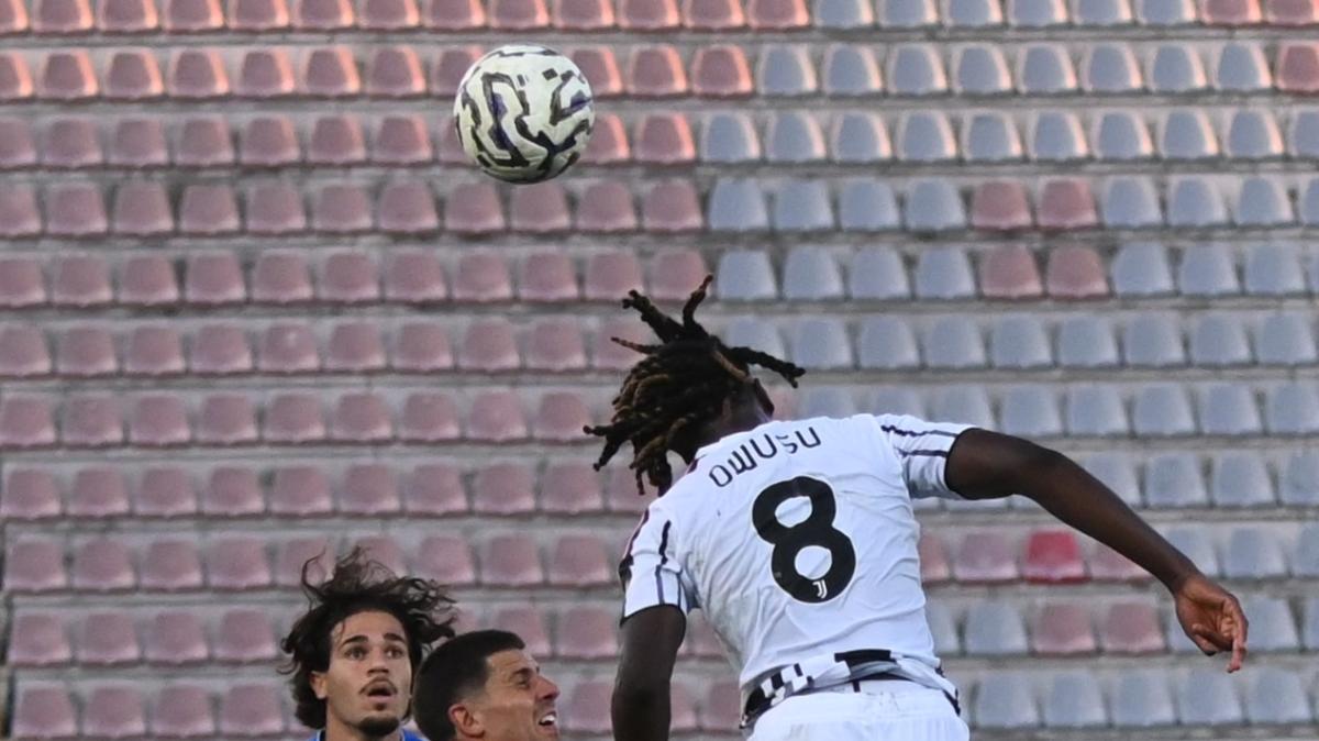 Immagine strip Primo piano n.1