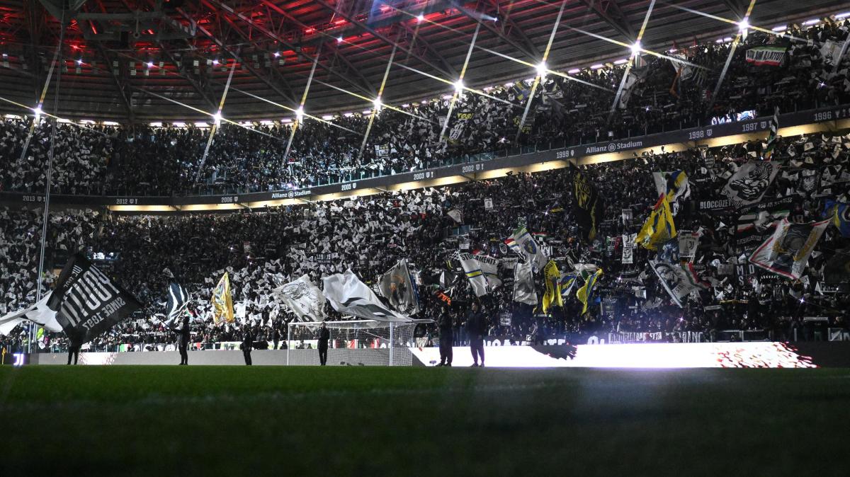 Immagine strip Primo piano n.1