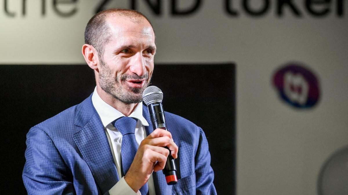 Immagine strip Primo piano n.1