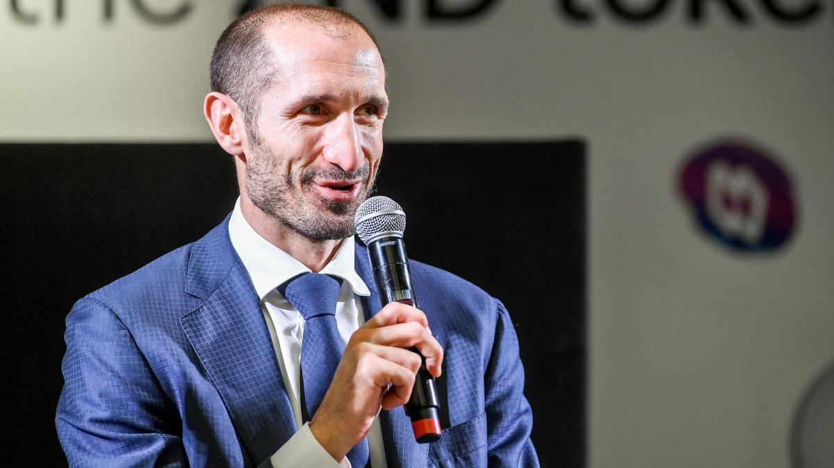 Falci: "Spalletti è stato voluto da Chiellini, un successo del tecnico lo rafforzerebbe"