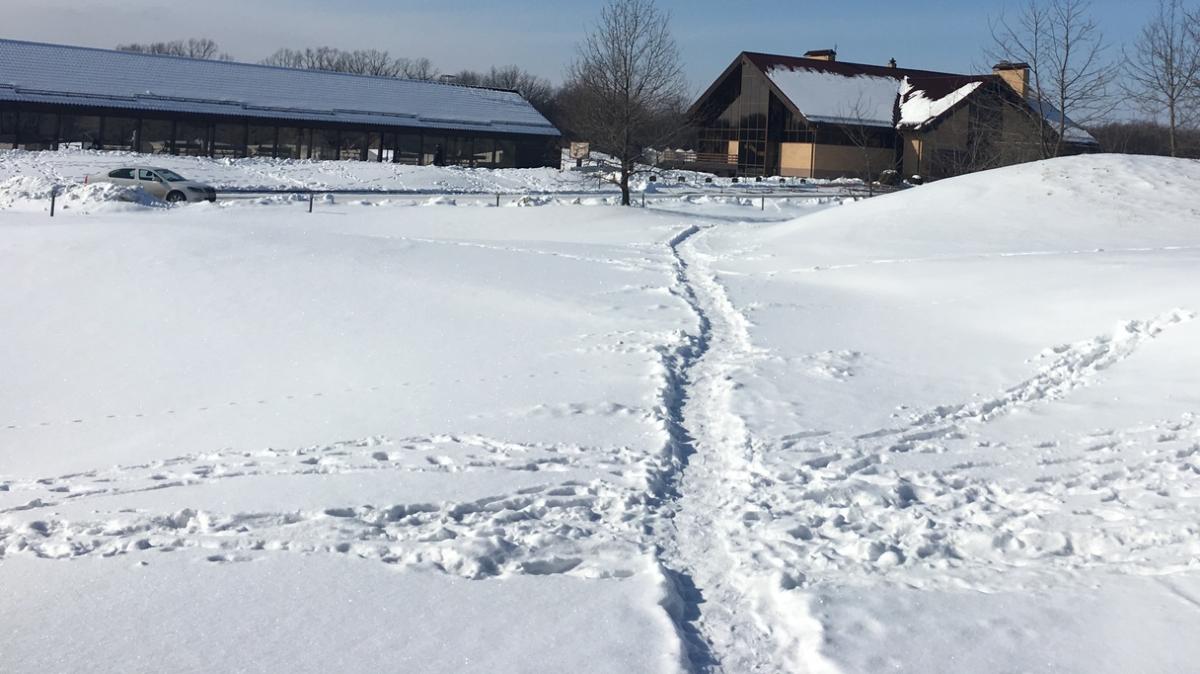 Pessime notizie da Bodo, la neve ferma la sfida di Youth League