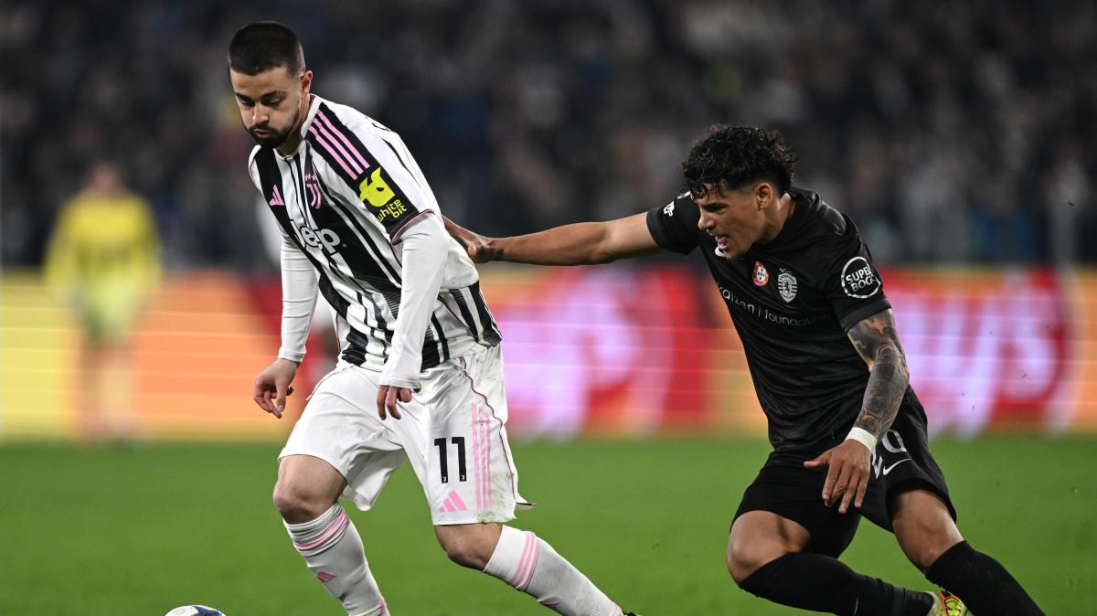 Immagine strip Primo piano n.1