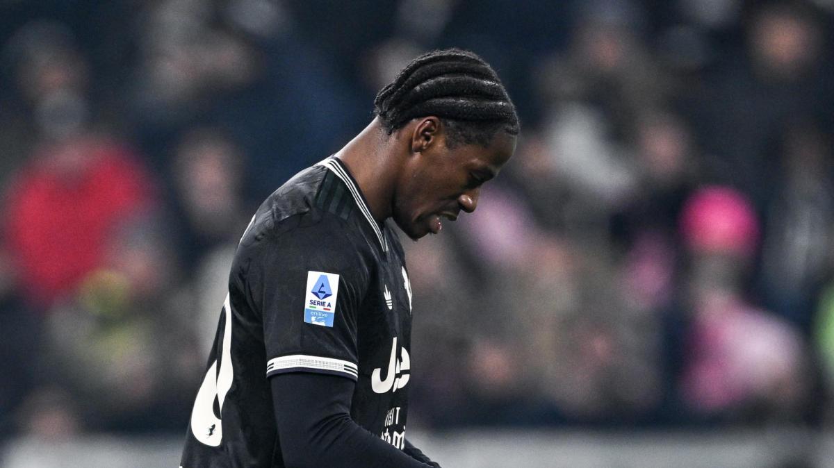 Immagine strip Primo piano n.2