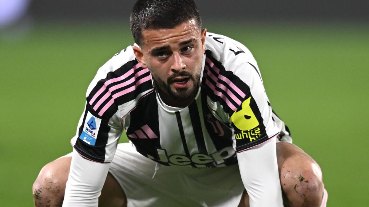 Immagine strip Primo piano n.1