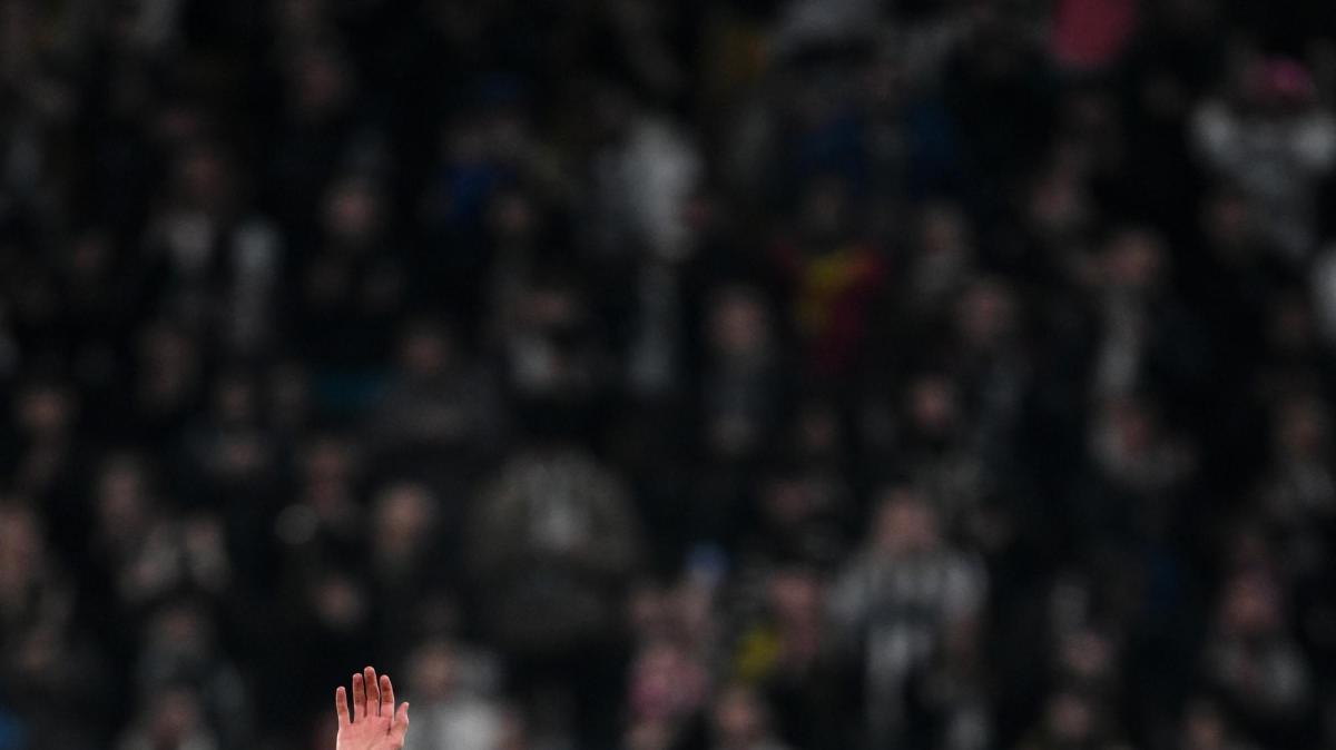 Immagine strip Primo piano n.1