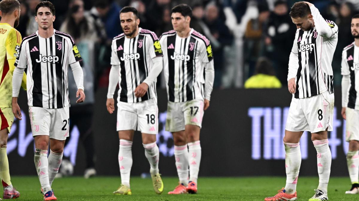 Immagine strip Primo piano n.1