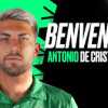 Avellino, De Cristofaro: "Non molleremo fino all'ultima giornata"