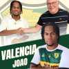 UFFICIALE-Lions MM Montemiletto, ecco la punta Valencia 