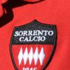 Sorrento, Di Somma: "Complimenti fanno piacere ma non fanno classifica"