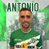 UFFICIALE- Real Forio, ecco il mediano Tarascio 