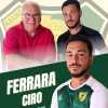 UFFICIALE-Lions MM Montemiletto, ecco il difensore Ferrara