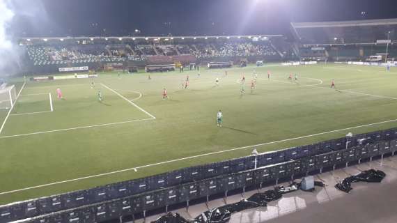 L’Avellino ritrova la vittoria, battuto in casa  il Sorrento