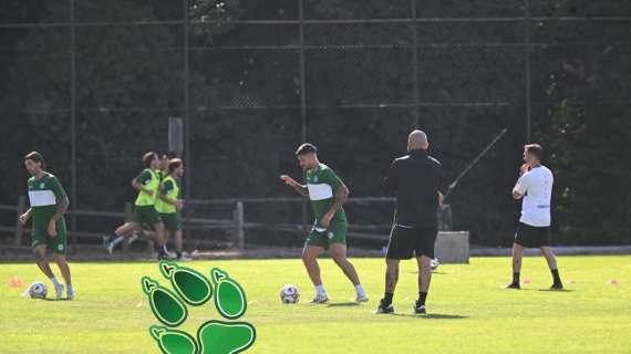 US Avellino, iniziato il pre ritiro di Sturno