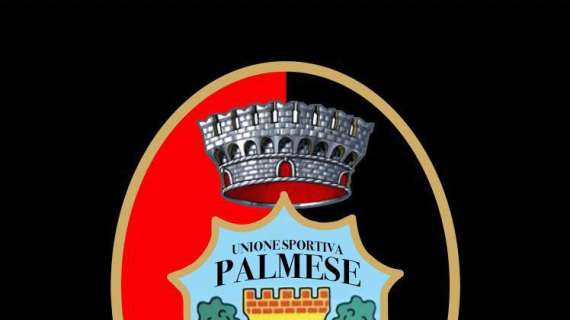 Palmese 1914, rivoluzione societaria e tecnica