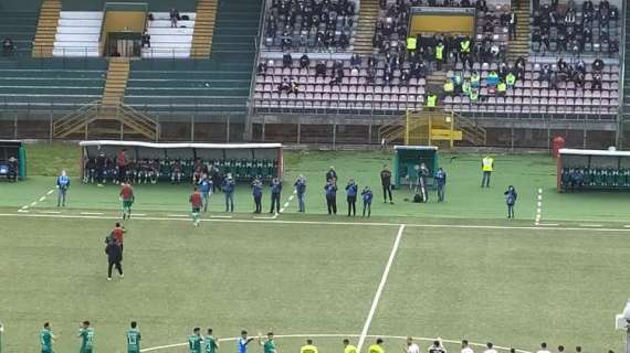 Avellino - Bari  1 - 0, i Lupi sbranano i Galletti e chiudono nel frigorifero di casa uno strameritato secondo posto