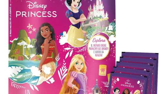 Disney Princess - Un viaggio straordinario... con le 13 Principesse