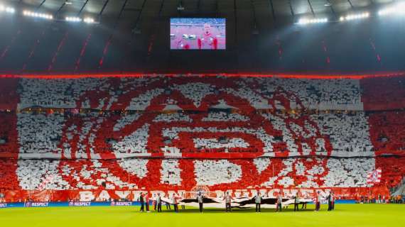 Bayern Munchen, A. Alguacil: "Dovremo lavorare ancora di più"