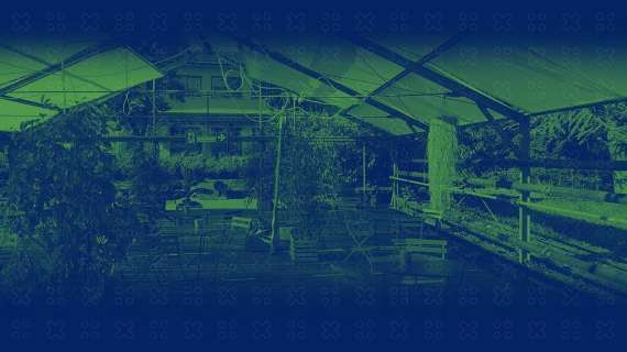 Bologna Game Farm, una giornata interamente dedicata ai videogiochi!