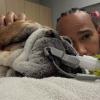 F1 | Ferrari, Hamilton, Roscoe e il cuore umano di un campione 