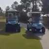 F1 | Max Verstappen stuzzica con un sorpasso spettacolare sulla golf cart