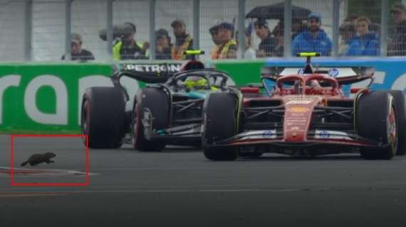 F1 | FP2, super marmotta: evitata la Ferrari e la Mercedes con un 360°