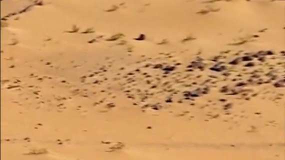 F1 | Una Ferrari pronta per la sfida nel deserto del Dakar