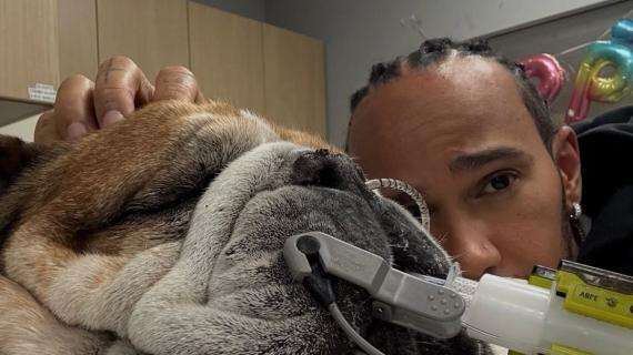 F1 | Ferrari, Hamilton, Roscoe e il cuore umano di un campione 