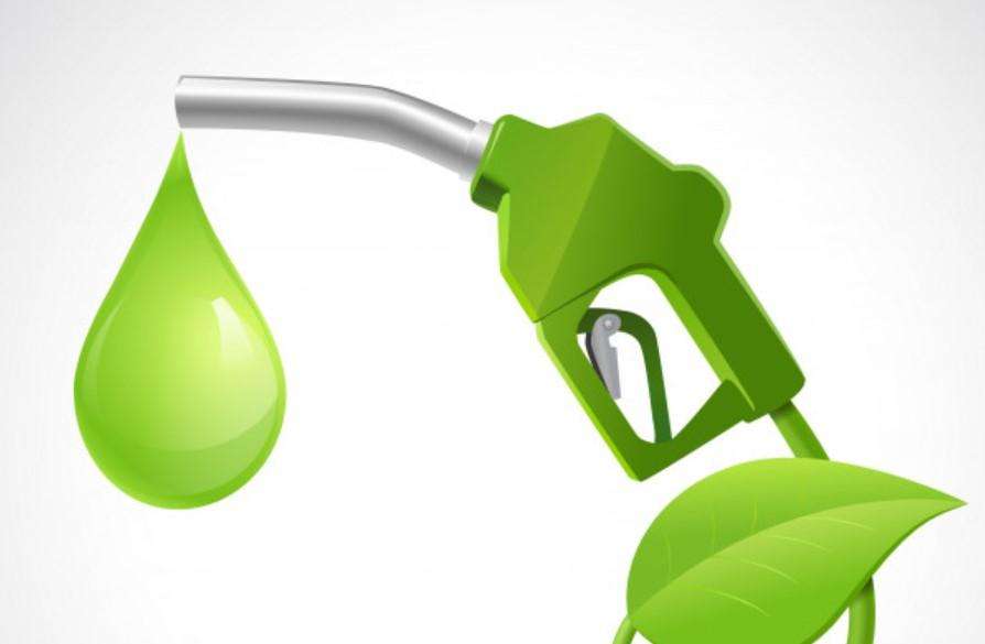 Formula 1 | L'era green si avvicina: promosso il biocarburante 100% rinnovabile