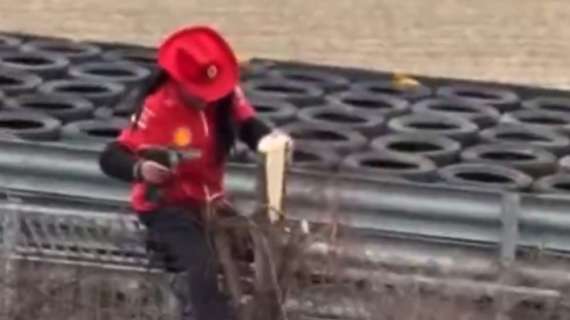 F1 | Fiorano, tifosi Ferrari tagliano alberi per vedere meglio: sui social lo sdegno