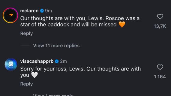 F1 | Il paddock si stringe attorno ad Hamilton per la morte di Roscoe