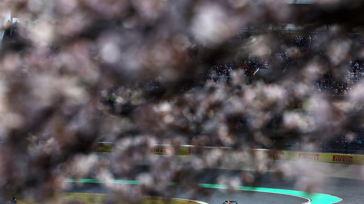 F1 | Verstappen e Norris bocciano i motori 2026: "Non è vera corsa"